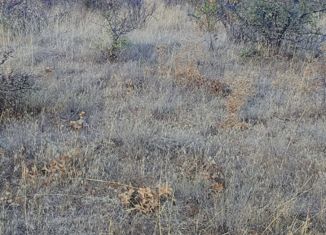 Продается участок, 5 сот., село Приветное, улица Горького, 36