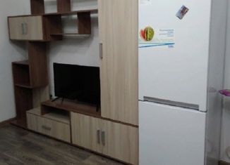 Сдам в аренду квартиру студию, 26 м2, Санкт-Петербург, улица Маршала Казакова, 78к1, муниципальный округ Южно-Приморский