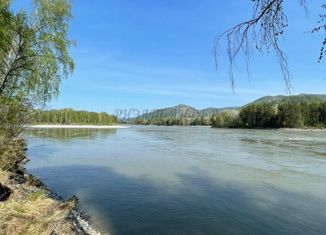 Участок на продажу, 150 сот., поселок Катунь, Центральная улица