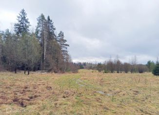 Продажа земельного участка, 10 сот., поселок Борки, Правдинская улица