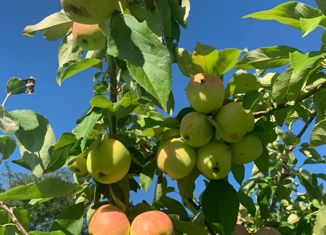 Продам дом, 120 м2, село Славковичи