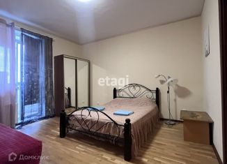 Сдача в аренду 1-комнатной квартиры, 33 м2, Мурино, Охтинская аллея, 6