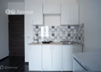 Квартира в аренду студия, 24 м2, Санкт-Петербург, Пулковское шоссе, 73к6