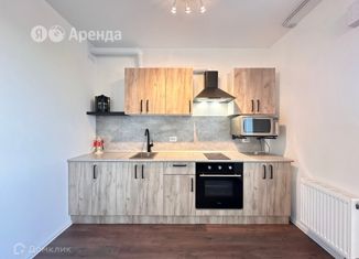 Квартира в аренду студия, 23 м2, Санкт-Петербург, Муринская дорога, 8к1, метро Академическая