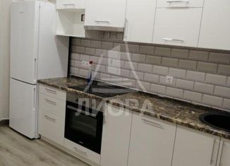 Сдам в аренду 1-комнатную квартиру, 40 м2, Омск, улица Красный Путь, 101к3, Советский округ