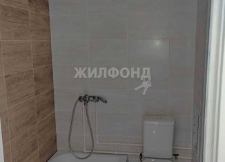 Продается квартира студия, 18 м2, Новосибирск, Спортивная улица, 31/1, метро Студенческая