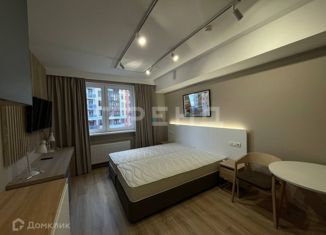 Продам квартиру студию, 24.1 м2, Санкт-Петербург, Заозёрная улица, 3к3, Заозёрная улица