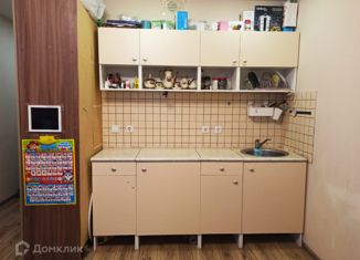 Продам квартиру студию, 20 м2, Мурино, улица Шувалова, 14, ЖК Созвездие