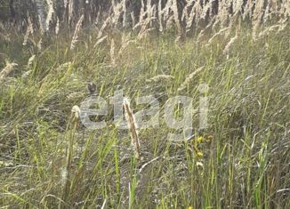 Земельный участок на продажу, 14 сот., деревня Поляна