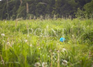 Продаю земельный участок, 29 сот., деревня Крёкшино