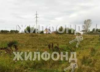 Продается земельный участок, 21 сот., село Ярково, улица Мира