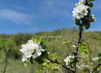 Продажа земельного участка, 22 сот., посёлок Розовый, Ароматная улица, 49А