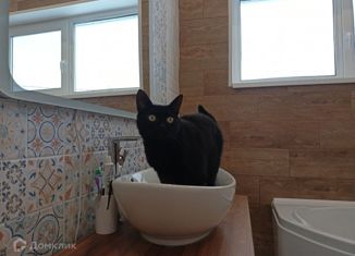 Продам дом, 112 м2, деревня Шаглино, Новошаглинская улица, 6