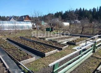 Продам дом, 18 м2, Березники, СНТ № 27, 168