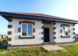 Продается дом, 75 м2, деревня Осоргино, Центральная улица