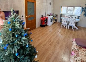 Дом на продажу, 55 м2, СНТ Искусство, Декоративная улица