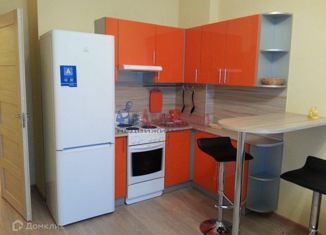 Сдается квартира студия, 28 м2, Санкт-Петербург, Лыжный переулок, 4к1, муниципальный округ № 65