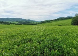 Земельный участок на продажу, 25 сот., поселок Верх-Анос, Центральная улица