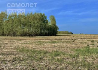 Продам земельный участок, 9660 сот., деревня Никитина, Центральная улица