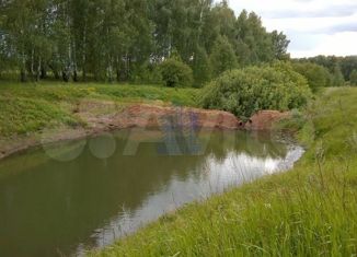 Продажа земельного участка, 140 сот., деревня Шомиково