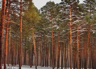 Продам участок, 192 сот., деревня Чесноково