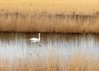 Продается земельный участок, 13500 сот., Петровское сельское поселение