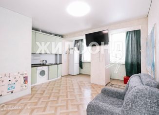 Продается квартира студия, 28 м2, Новосибирск, Воскресная улица, 4/1, Воскресная улица