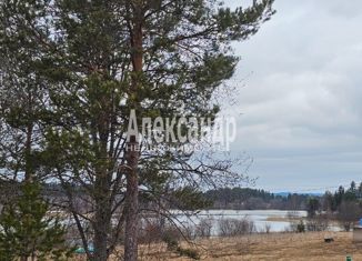 Продажа участка, 55 сот., посёлок Нукутталахти