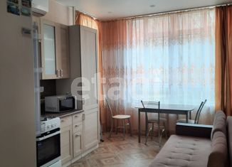 Сдается 1-ком. квартира, 41 м2, Геленджик, улица Гоголя, 11Бк3