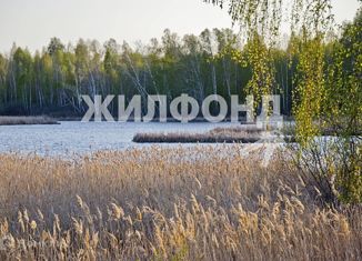 Земельный участок на продажу, 1100 сот., рабочий посёлок Колывань