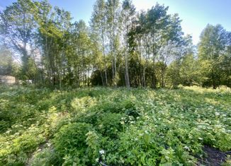 Продажа участка, 6.5 сот., СТ Лесное, СТ Лесное, 179