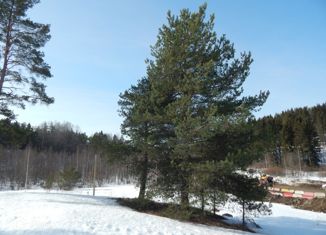 Продажа земельного участка, 15 сот., посёлок Ласанен