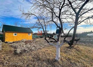 Продается дом, 20 м2, СНТ Нива, Урожайная улица, 351