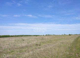 Продам участок, 146.2 сот., Чистенское сельское поселение