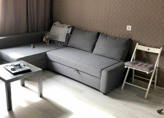 Продам 2-комнатную квартиру, 43 м2, Новосибирск, улица Пермитина, 10, метро Студенческая