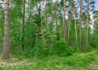 Продаю земельный участок, 36 сот., деревня Жуковка