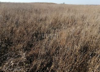 Продажа земельного участка, 200 сот., Мирновское сельское поселение