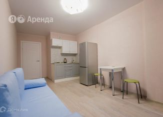 Квартира в аренду студия, 24 м2, Мурино, улица Шоссе в Лаврики, 67, ЖК Муринское-1