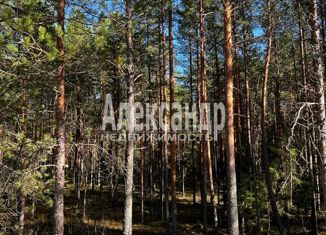 Продажа участка, 10 сот., городской посёлок Толмачёво, Сосновая улица, 16