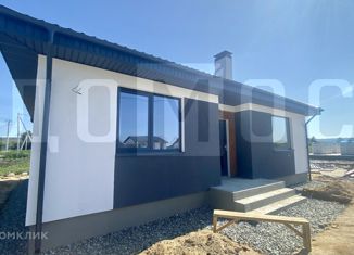 Продается дом, 76 м2, деревня Большое Седельниково, Парковая улица, 9