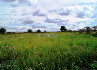 Земельный участок на продажу, 20 сот., деревня Ручьи, Заречная улица