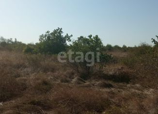 Продается участок, 117 сот., село Тутовка, улица Джами