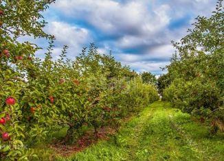 Продаю земельный участок, 1234 сот., деревня Волоть