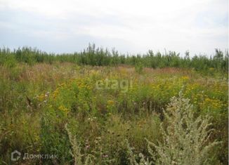 Земельный участок на продажу, 60 сот., Нижегородская область