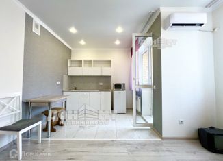 Продаю квартиру студию, 27 м2, Ростов-на-Дону, ЖК Западная Резиденция, переулок Чаленко, 19/1