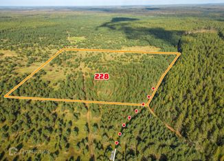 Участок на продажу, 700 сот., Алёховщинское сельское поселение