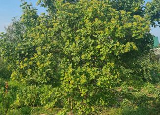 Дом на продажу, 20 м2, посёлок Шабровский, улица Ленина