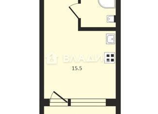 Продажа квартиры студии, 15.5 м2, Москва, Подольская улица, 25, станция Перерва