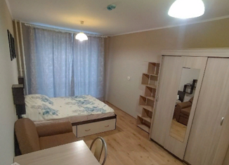 Квартира на продажу студия, 22 м2, посёлок Парголово, Толубеевский проезд, 8к2