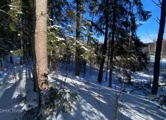 Продажа земельного участка, 14.1 сот., Первомайское сельское поселение